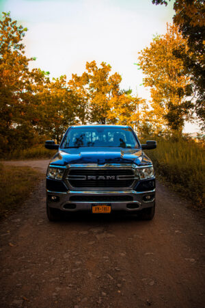 Ram