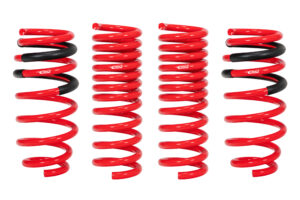 Eibach Pro-Kit 2015+ Challenger Springs