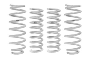 Eibach Drag-Launch 2015+ Charger/Challenger Springs