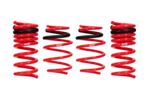 Eibach Sportline Springs For 3.6L/5.7 RWD Charger