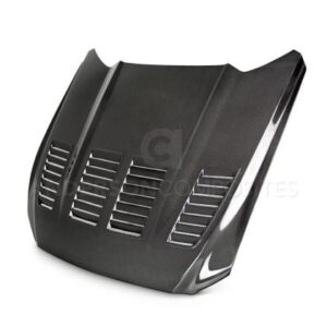 Ford Mustang Type-TW Double Sided Hood